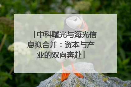 中科曙光与海光信息拟合并：资本与产业的双向奔赴