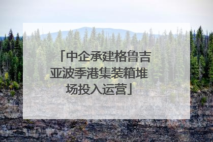 中企承建格鲁吉亚波季港集装箱堆场投入运营