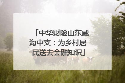 中华财险山东威海中支：为乡村居民送去金融知识