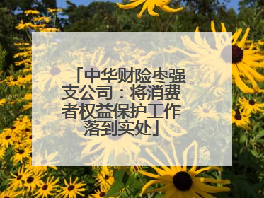 中华财险枣强支公司：将消费者权益保护工作落到实处