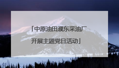 中原油田濮东采油厂开展主题党日活动