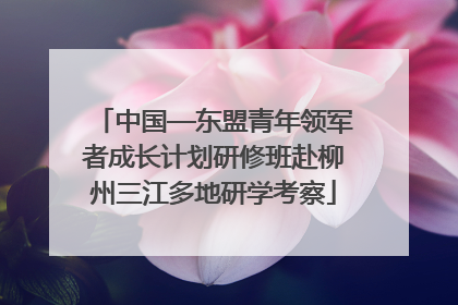 中国—东盟青年领军者成长计划研修班赴柳州三江多地研学考察