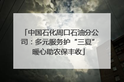 中国石化周口石油分公司：多元服务护“三夏” 暖心助农保丰收