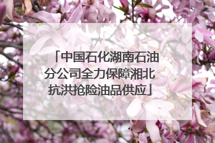 中国石化湖南石油分公司全力保障湘北抗洪抢险油品供应