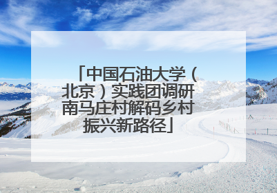 中国石油大学（北京）实践团调研南马庄村解码乡村振兴新路径