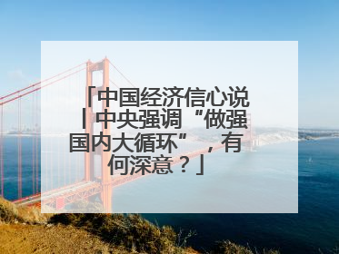 中国经济信心说丨中央强调“做强国内大循环”，有何深意？