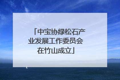 中宝协绿松石产业发展工作委员会在竹山成立