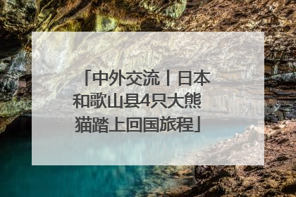 中外交流丨日本和歌山县4只大熊猫踏上回国旅程