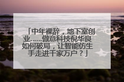 中年裸辞，地下室创业……傲意科技倪华良如何破局，让智能仿生手走进千家万户？