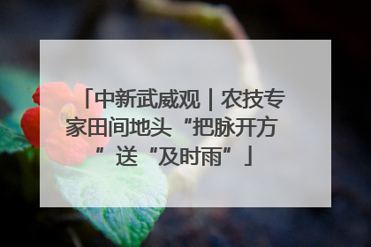 中新武威观｜农技专家田间地头“把脉开方”送“及时雨”