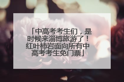 中高考考生们，是时候来淄博旅游了！红叶柿岩面向所有中高考考生免门票