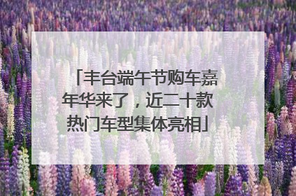 丰台端午节购车嘉年华来了，近二十款热门车型集体亮相