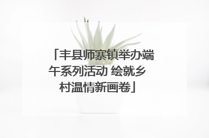 丰县师寨镇举办端午系列活动 绘就乡村温情新画卷