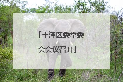 丰泽区委常委会会议召开