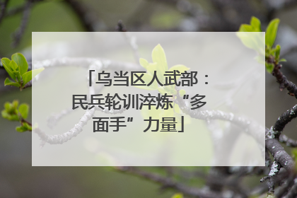 乌当区人武部：民兵轮训淬炼“多面手”力量