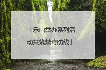 乐山举办系列活动共筑禁毒防线