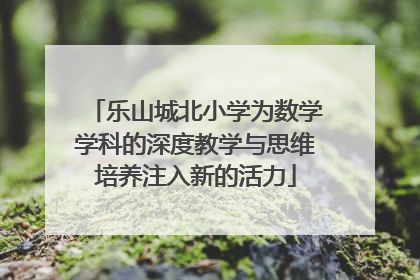 乐山城北小学为数学学科的深度教学与思维培养注入新的活力