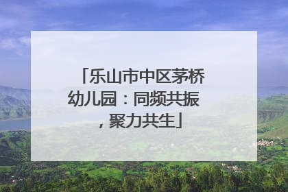 乐山市中区茅桥幼儿园：同频共振，聚力共生
