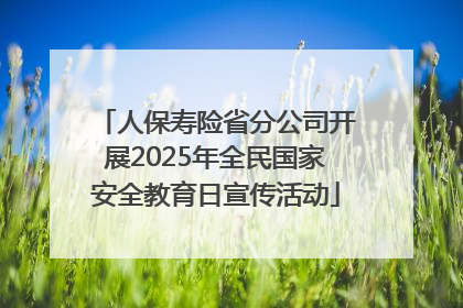 人保寿险省分公司开展2025年全民国家安全教育日宣传活动