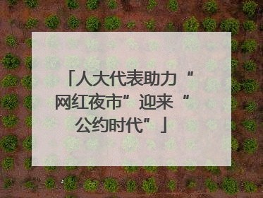 人大代表助力“网红夜市”迎来“公约时代”