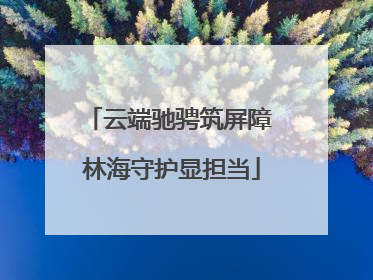 云端驰骋筑屏障 林海守护显担当