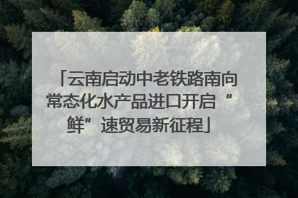 云南启动中老铁路南向常态化水产品进口开启“鲜”速贸易新征程