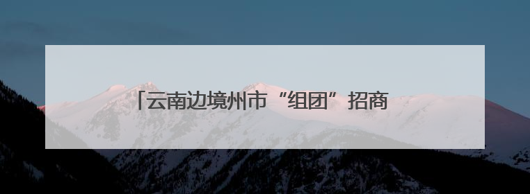 云南边境州市“组团”招商 边民互市落地加工成投资热点