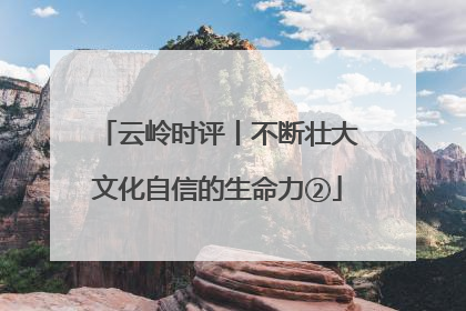 云岭时评丨不断壮大文化自信的生命力②