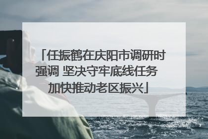 任振鹤在庆阳市调研时强调 坚决守牢底线任务 加快推动老区振兴