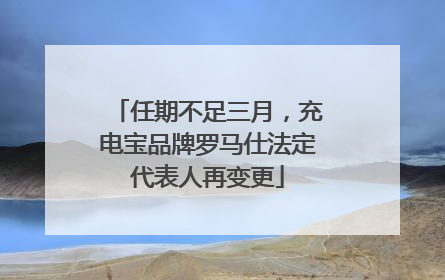 任期不足三月，充电宝品牌罗马仕法定代表人再变更