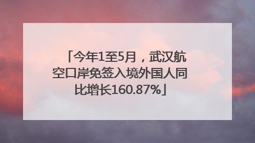 今年1至5月，武汉航空口岸免签入境外国人同比增长160.87%