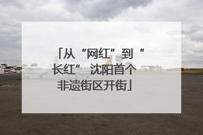 从“网红”到“长红” 沈阳首个非遗街区开街