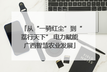 从“一骑红尘”到“荔行天下” 电力赋能广西智慧农业发展