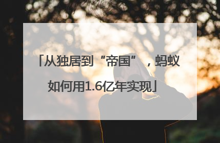 从独居到“帝国”，蚂蚁如何用1.6亿年实现