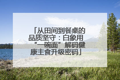 从田间到餐桌的品质坚守：白象用“一碗面”解码健康主食升级密码