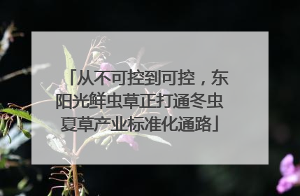 从不可控到可控，东阳光鲜虫草正打通冬虫夏草产业标准化通路