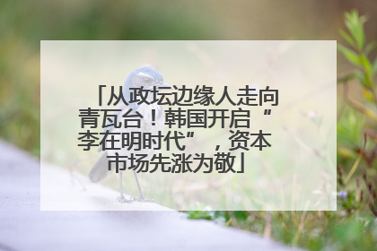 从政坛边缘人走向青瓦台！韩国开启“李在明时代”，资本市场先涨为敬