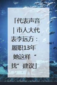 代表声音｜市人大代表李远方：履职13年 她这样“找”建议