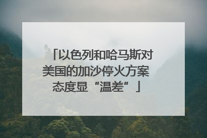 以色列和哈马斯对美国的加沙停火方案态度显“温差”