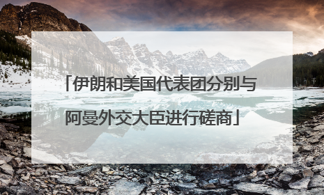 伊朗和美国代表团分别与阿曼外交大臣进行磋商