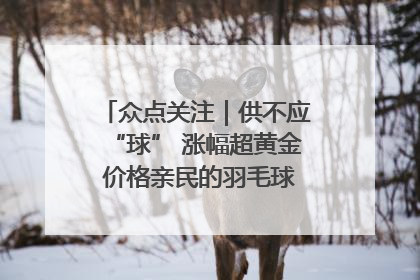 众点关注｜供不应“球” 涨幅超黄金 价格亲民的羽毛球为何身价飞涨？