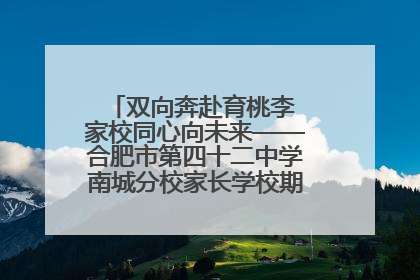 双向奔赴育桃李 家校同心向未来——合肥市第四十二中学南城分校家长学校期末总结会圆满召开