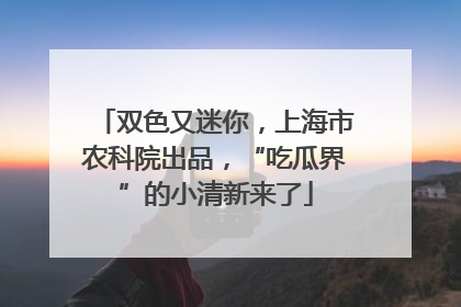 双色又迷你，上海市农科院出品，“吃瓜界”的小清新来了