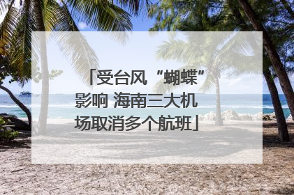 受台风“蝴蝶”影响 海南三大机场取消多个航班