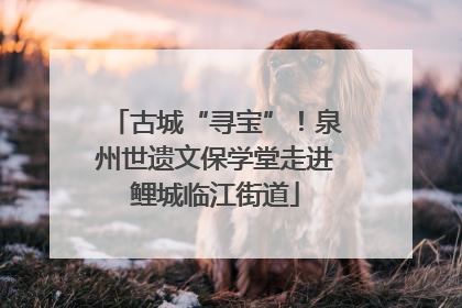 古城“寻宝”！泉州世遗文保学堂走进鲤城临江街道