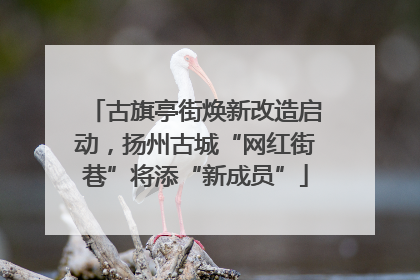 古旗亭街焕新改造启动，扬州古城“网红街巷”将添“新成员”