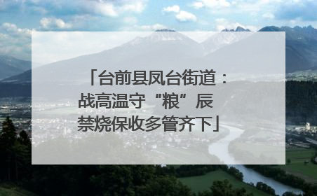 台前县凤台街道：战高温守“粮”辰 禁烧保收多管齐下