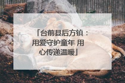 台前县后方镇：用爱守护童年 用心传递温暖