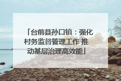 台前县孙口镇：强化村务监督管理工作 推动基层治理高效能