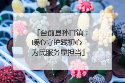 台前县孙口镇：暖心守护践初心 为民服务显担当
